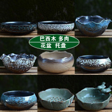 ˮ��ֲ���бP����ľ�k���ҟo������˯ɏɏ�ɷNֲˮ�������~�X��