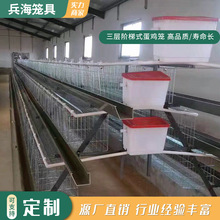 养殖场蛋鸡笼三层四门阶梯式蛋鸡笼节省人力场地自动化养殖设备