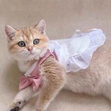 猫咪衣服女仆装ins宠物猫猫咪衣服狗狗服装变身装蝴蝶结可爱跨境