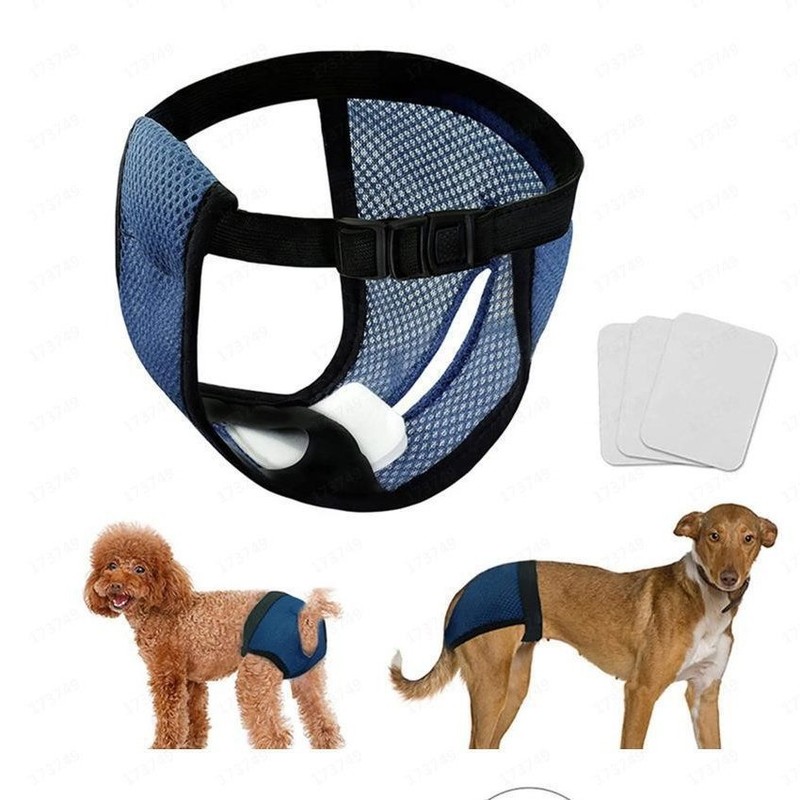 犬の交尾防止嫌がらせ神器ペット犬生理ズボン生理日叔母安全ズボン雌犬専用|undefined