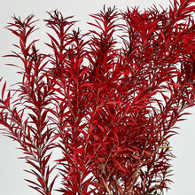 ������ǧ�ӽ�tɫ�Gɫ����ǧ�ӽ�120gƯɫǧ�ӽ����|���ĸɻ��b�