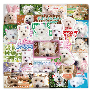 50�����ߵر��ܹ����N������T�f�YƷ�N��DIY�֙C���������N��