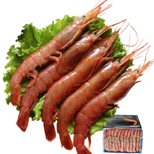 26�굽����؛���P�M�ڰ���͢�t�rL2 ���l����Ұ������һ��؛Դ