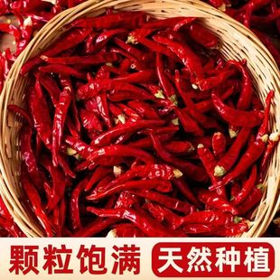 �¸���������������Ȼ�L��С���������콷�����w��M����