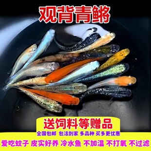 ��Ʒ�^�����F�~���B���^�p�~����Ϻ��B�ͻ�С�~���I�~С����ˮ�~