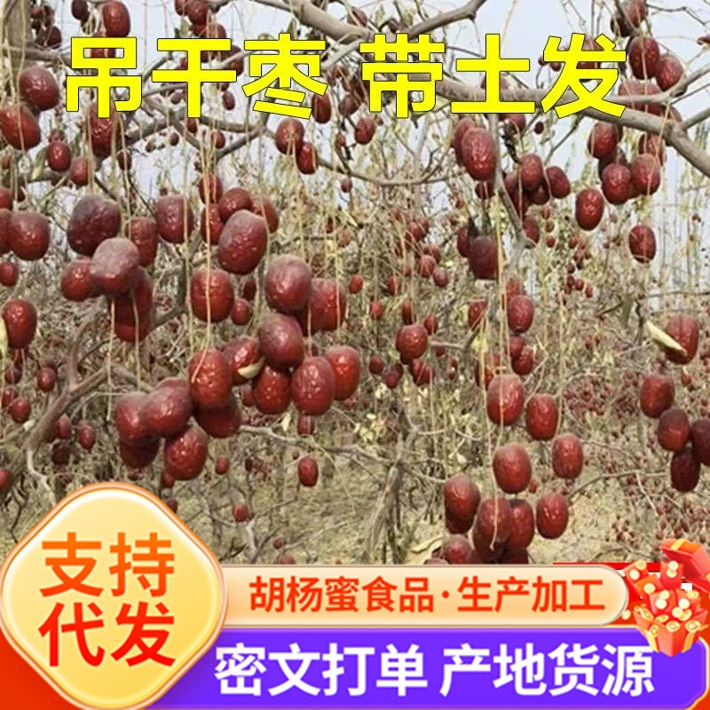 5 килограммов серых фиников Xinjiang отправляются, оригинальные экологические серые финики Роухакиан сухие без промывки.