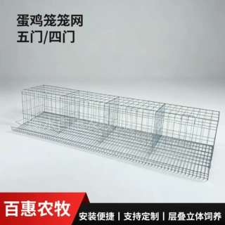 鸡笼网单层鸡笼家用鸡舍养鸡养殖场冷镀锌安装简单四门五门鸡笼子
