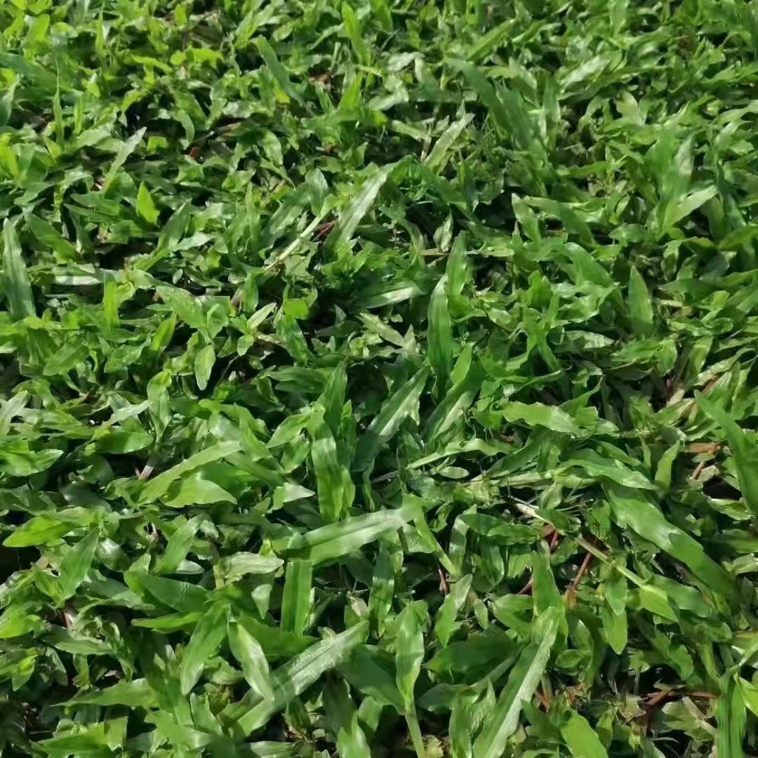 f40927c7d96a73ef1a7f24c2e1cb34