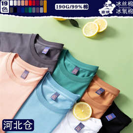 【河北仓】宽松|冰丝棉氨棉纯色T恤夏季圆领短袖快速干青少年潮牌