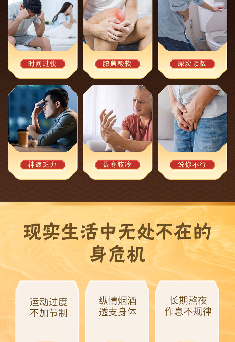 Shen Lu Da Li Wan Herbal Honey Pills 144g Traditional TCM Wellness Supplement with Ginseng Deer Antler and Polygonatum key features