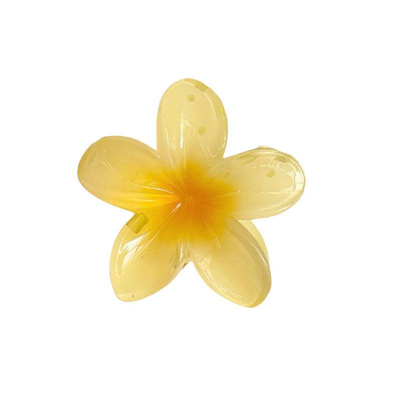 Fermaglio a forma di artiglio di plumeria, di tendenza tra Europa e America, per donna, colorato e versatile, ideale per la coda di cavallo alta._voghion.com