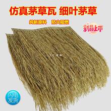 é�ݼ��z��������ë�����ξ��^���@���������ȼ�ٵ����ߑ���