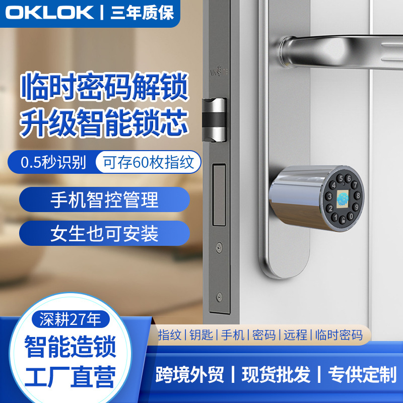 室内门指纹锁芯办公室通用电子远程密码锁合租房卧室公寓智能锁