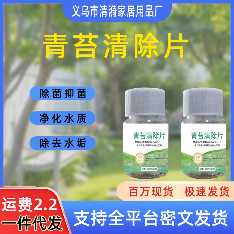 Moss scavenger cement floor dedicated nemesis wall housing moss algae removal green moss cleaning artifact