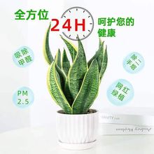 ����ȩ�߰���߅��Ƥ�m���Կ͏d�Gֲ����ֲ���ݗ���ļ����B�׳ɻ�