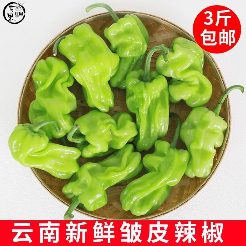 云南新鲜皱皮辣椒虎皮辣椒青辣椒辣味清脆新鲜蔬菜圆椒3斤装包邮