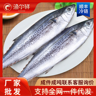 ���r�����r���E�~����E�~���l���r���R�o�~���~�������l