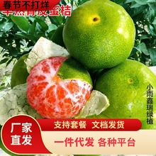 ��Ʒ�N��Ƥ�۽��� ����һ̖��������������� �޽ӟo���۽��Ә���