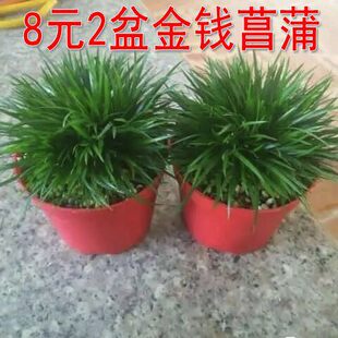 2����X����8Ԫ.��ɽ��ˮꑸ�������ˮʯ��ݾGֲɽʯ�辰��ʯ