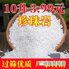 优质珍珠岩大颗粒养花通用植物垫底铺面通用透气大包珍珠岩批发