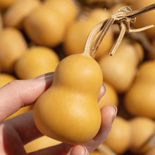 ��Ȼ������J�[���ְѼ��ֶ�С���J �����^�������湤ˇ���J�[��