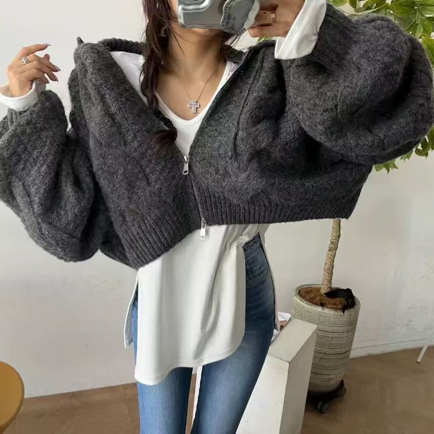 Otoño y invierno nuevo casualidad con capuzas con cremallera de manga larga camiseta de punto coreana para reducir la edad suéter corto de torsión suelta para mujeres image 3
