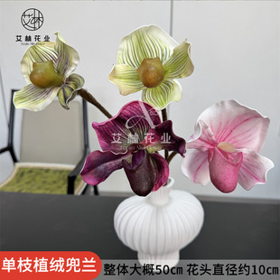 �¿��֦���m��Ʒ�|���滨�ۘǲ��Ӱ��g��ˇ�OӋ�zӰ̨����c�b�