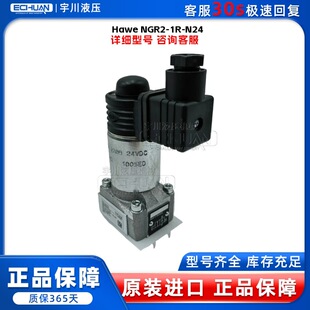 ���� Hawe NGR2-1R-N24 늴��y ȫ�� �|��һ��̫���늴��y