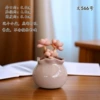 Wen No. 566