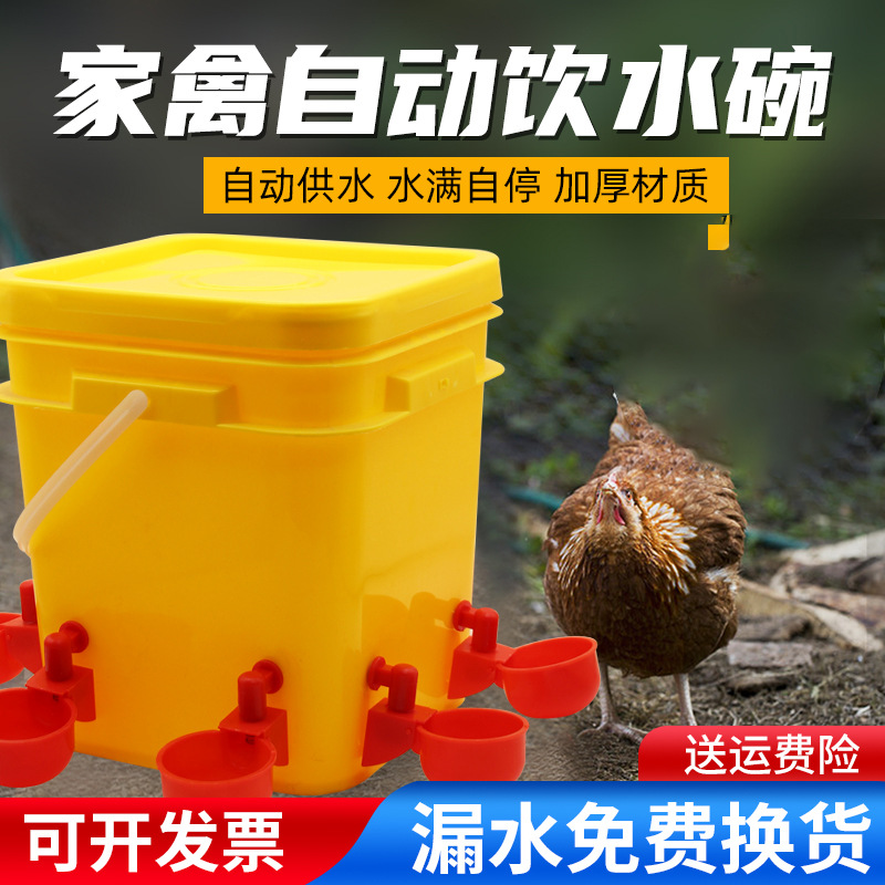 Bebedero automático para pollos de cría transfronterizos Tazón de agua para pollos, patos y gansos Fregadero automático para aves de corral Cubo para beber para pollos