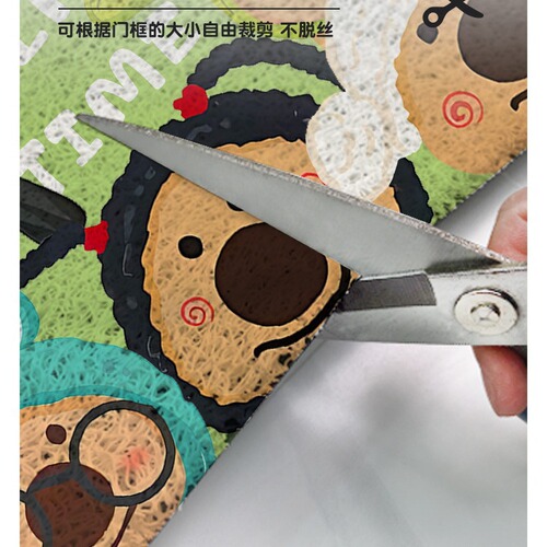 Entrance door floor mat  new cute ins wire ring stain-resistant anti-slip carpet cuttable door mat entry door mat