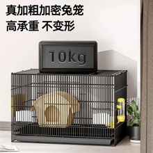 ���ӻ\�Ӽ��ô�̖�҃��B���Ԅ���S���m�i����\�����øC�û\؈�\