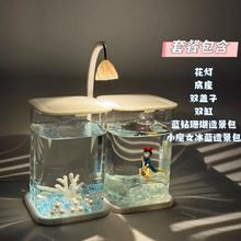 鱼缸斗鱼专用超白小型玻璃缸客厅创意桌面摆件高级生态造景观赏