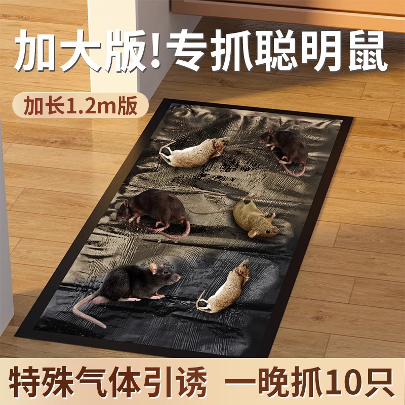 20 Pieces of Mouse Stickers, Strong Sticky Mouse Boards to Catch Big Mice, Catch and Kill Rats, Glue Dipped into Household Mouse Catching