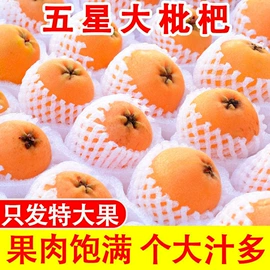 生核桃;豆荚类;枇杷