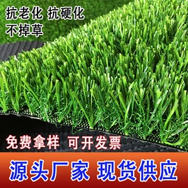 跑道草坪;仿真草皮