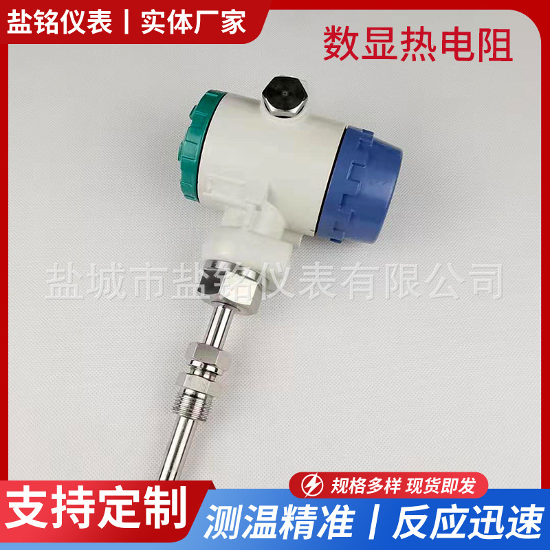 智能一体化PT100防爆远传数显热电阻传感器