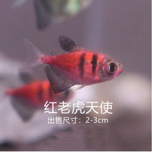 �t�ϻ���ʹ�~���w �Ꭷ�^�p�~��ʹ�~ �O��ֱ�N�t�ϻ���ʹ�~���l