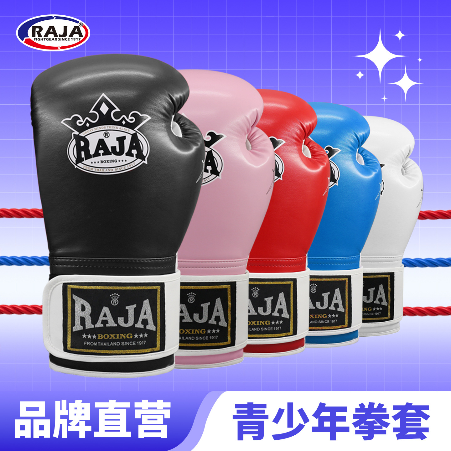 Raja Professional Boxing Gloves Wholesale Adult Men and Women Sanda Fighting Training Equipment Boxing Gloves Dropshipping