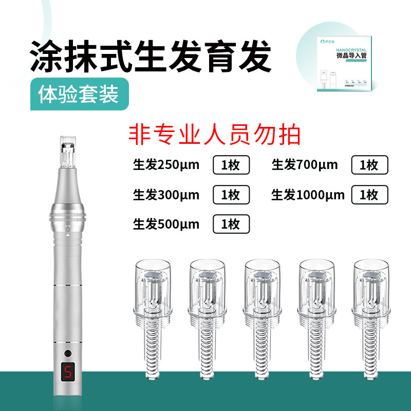 家庭用調整可能な非侵襲水光美容器浅い導電性ナノ中胚葉理学療法電気マイクロニードル微結晶導入装置|undefined