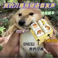 �ҵĵ����Z�����I�l��ߒ��耳׿۳���ṣ�ȱ������ͰͲ�һ��