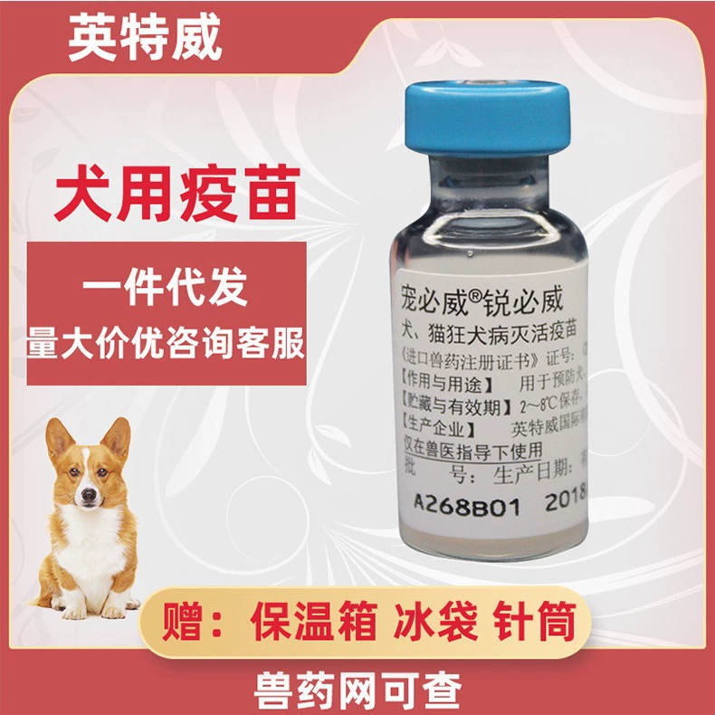 Вакцина против бешенства собака кошка бешенство вакцина домашнее бешенство Бешенство Репик бешенство МРТ бешенство домашнее бешенство