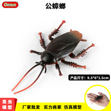 跨境实心认知儿童玩具仿真野生昆虫类模型整蛊玩具公蟑螂模型摆件