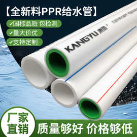 工厂批发大口径ppr管6分自来水管ppr给水管2寸工程热水管ppr水管