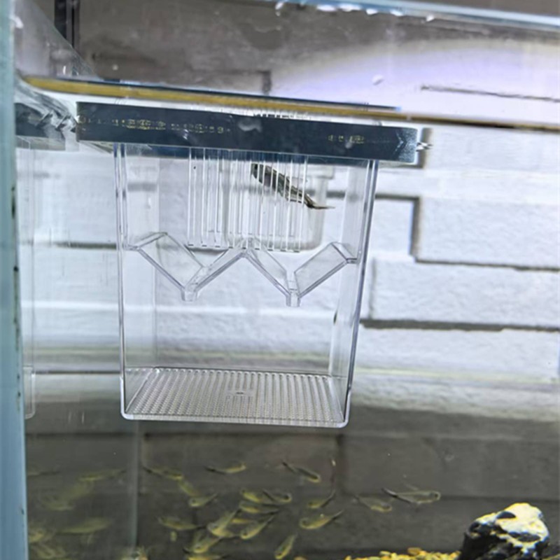 Caja de aislamiento de eclosión flotante cuadrada, caja de cría, pequeña incubadora de peces hembras, criador de guppies en la pecera