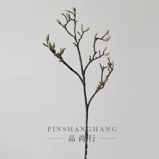 �������m֦�廨��֦��֦��������ٽ��K�FСԭ����ʽ���Ĳ��Ϸ���