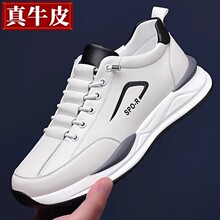 ����Ь�п�2025�¿�ţƤЬ��ʿܛ���ܲ�����Ь͸���\�����eЬ��Ь