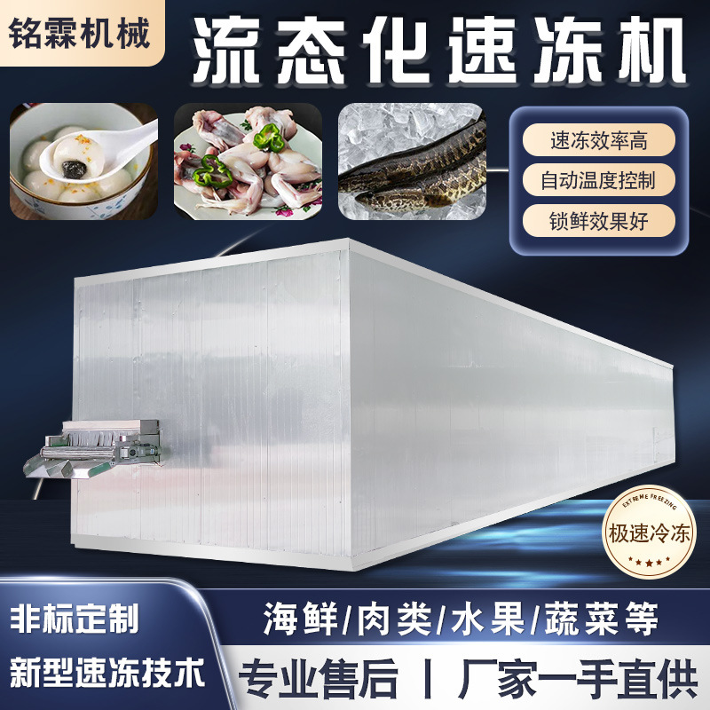 商用海鲜黄花鱼流态化速冻柜 汤圆水饺速冻流水线 果蔬速冻设备