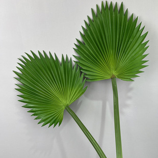 �����ȿ��~�ؙ��~�҃��b�ֲ����~�����~�ѿ��~���溣���~ܛ�b��