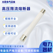�߉������۔������մɲ��|��XRNP-12KV0.5-3.15A�߷֔��������U